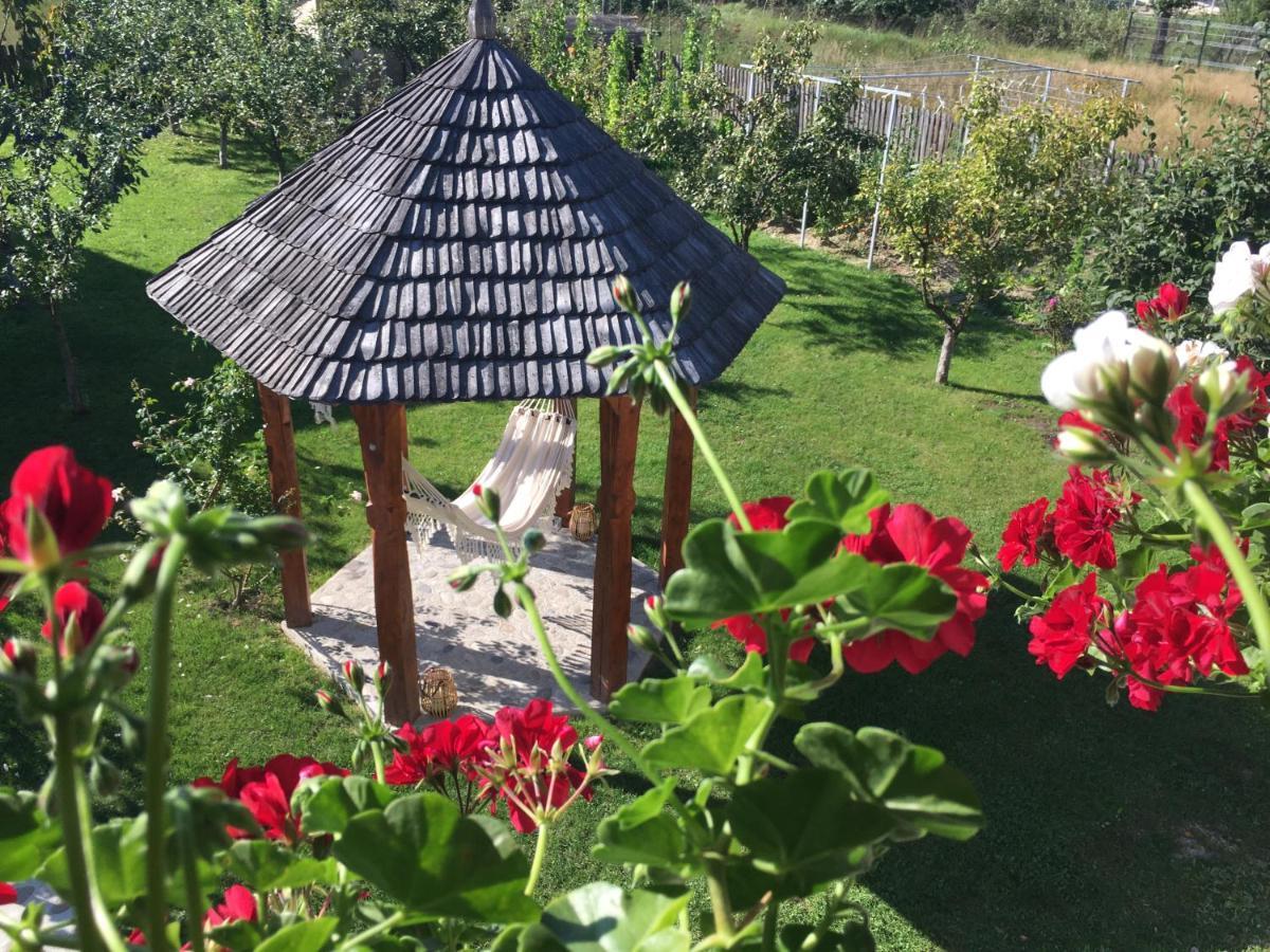 Casa Moldovan Окна-Шугатаг Экстерьер фото